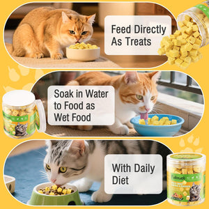 Collage of cats eating cat food with text on how to use it at Pet Servo