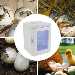 A collage showing a white egg incubator with a blue-tinted door window in the center, surrounded by four photos of eggs, hatchlings, reptiles, and a duckling.