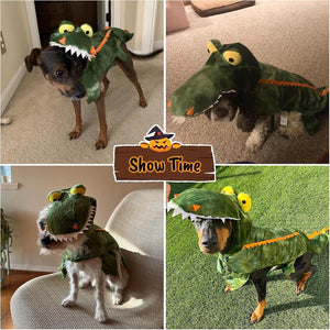 Dog wearing a green dinosaur costume in various settings with 'Show Time' branding.