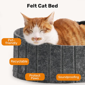 Cat lying on a felt cat bed with features highlighted at Pet Servo
