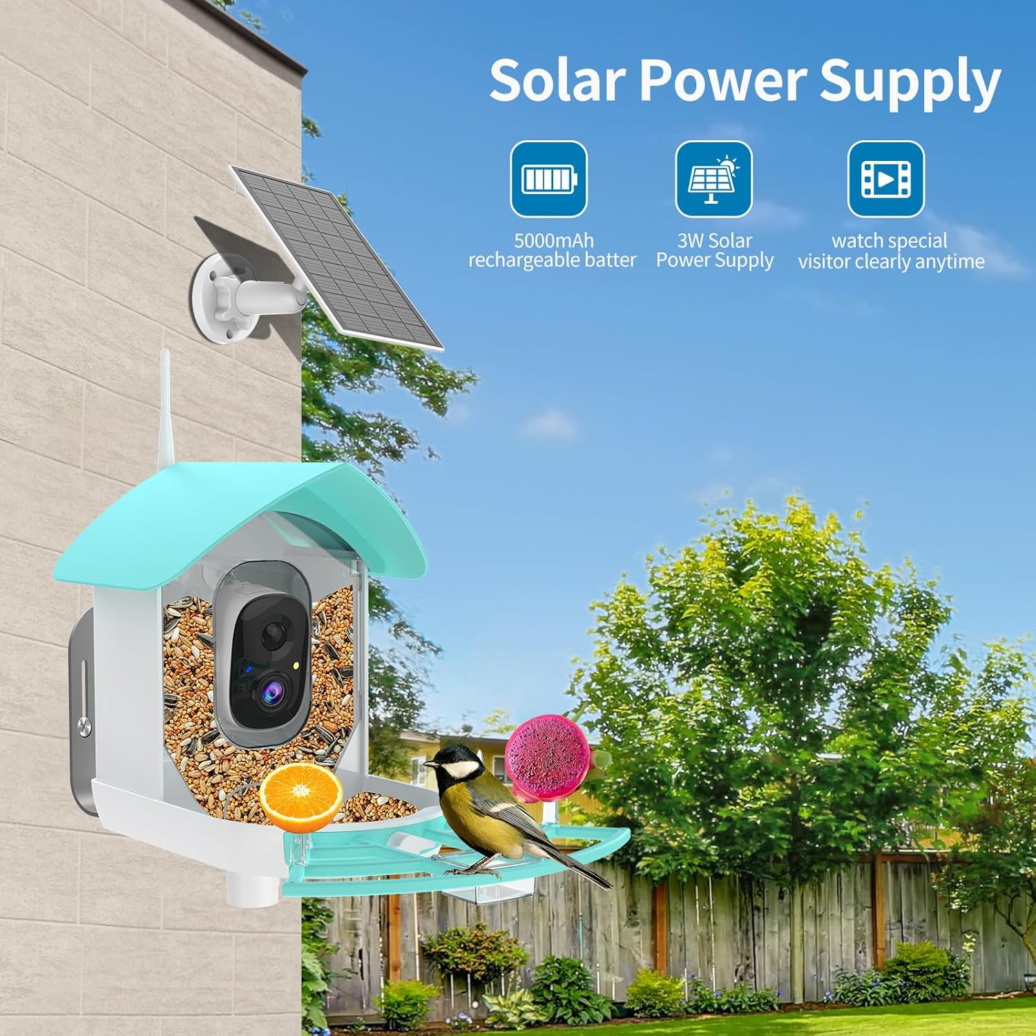 Gyozol - Smart AI Bird Feeder with 2K Camera & Solar Power