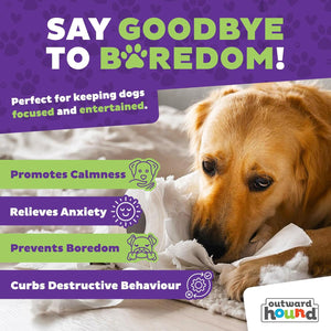 Dog chewing on a toy with promotional text about keeping dogs focused and entertained, featuring Outward Hound brand at Pet Servo