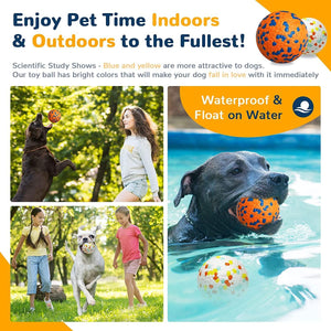 Promotional image of a dog toy ball with text about pet time indoors and outdoors, showing dogs playing with the ball in various settings at Pet Servo