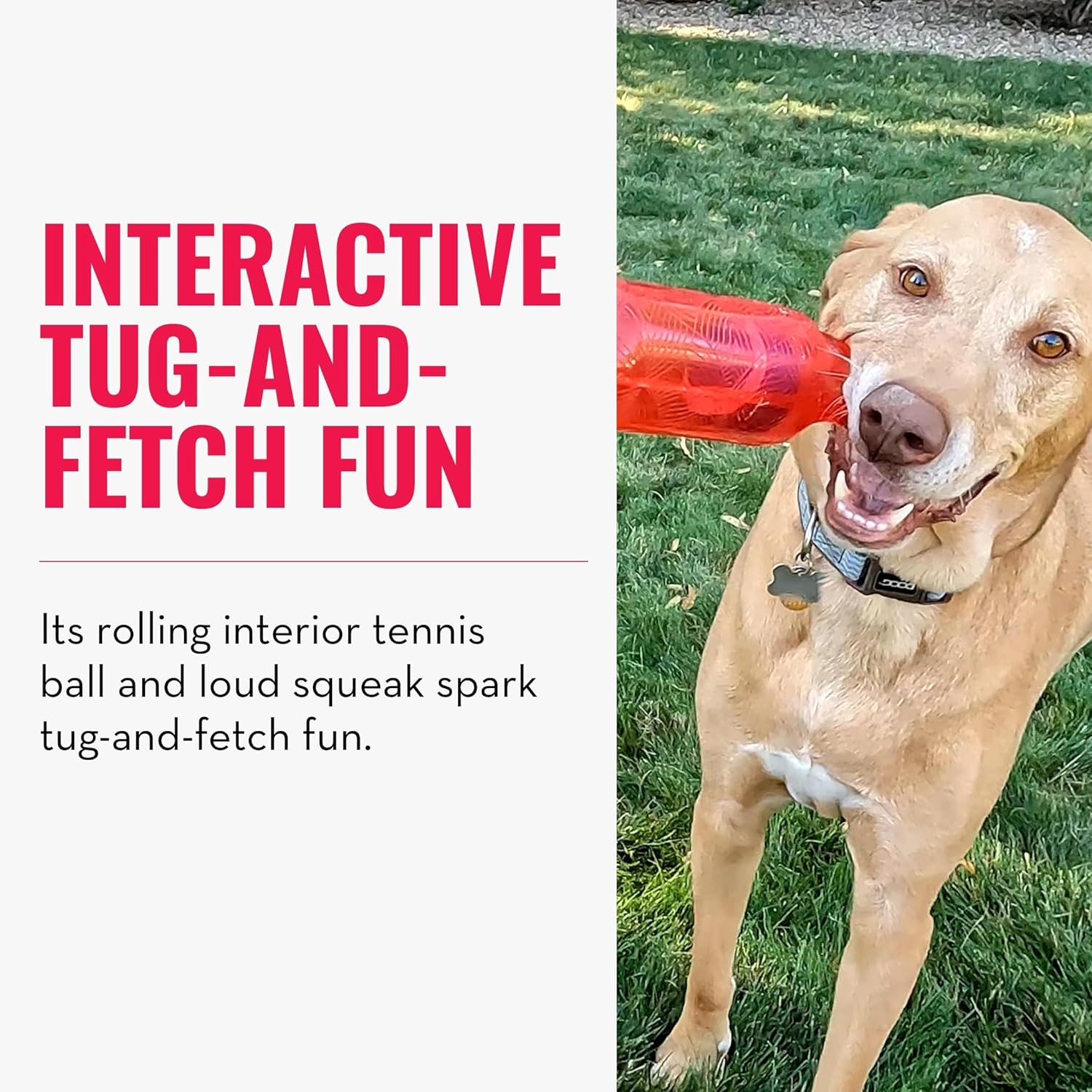 Dog playing with a red toy on grass, with text about interactive tug-and-fetch fun at Pet Servo