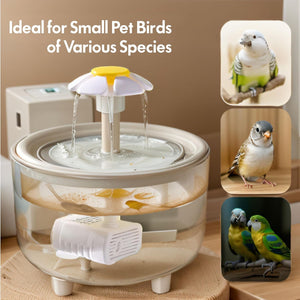 Bird water fountain with images of small pet birds on a wooden surface at Pet Servo