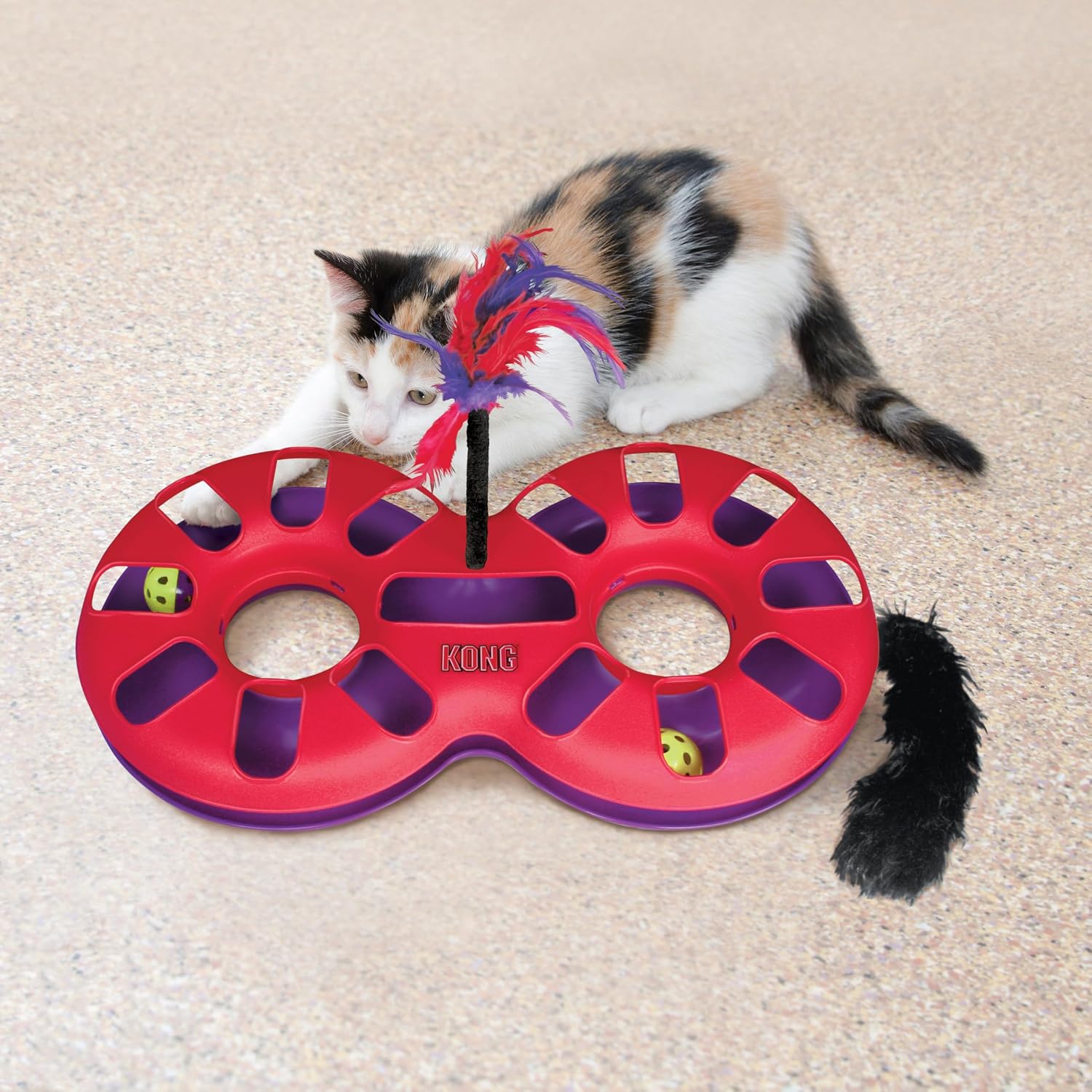 Cat playing with a red and purple KONG cat toy on a beige carpet at Pet Servo
