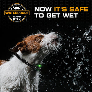 Dog wearing a waterproof collar with water droplets and text 'Now it's safe to get wet' on a dark background at Pet Servo