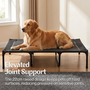 Dog sitting on an elevated pet bed with text about joint support at Pet Servo