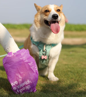 Dog standing on grass with a purple bag labeled 'e Waste World Poop' in front of it at Pet Servo