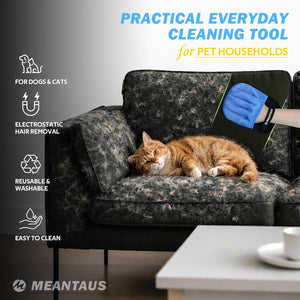 Cat lying on a sofa with a cleaning tool, featuring MEANTAUUS branding at Pet Servo