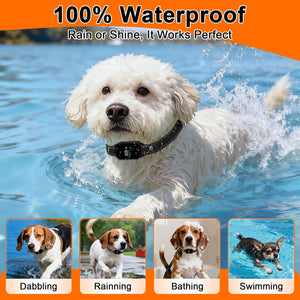 White dog swimming in water with a product feature banner above at Pet Servo