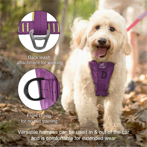 Dog wearing a purple harness with leashes in a forest setting at Pet Servo