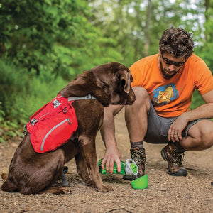 Man and dog on a trail with the dog wearing a red backpack at Pet Servo