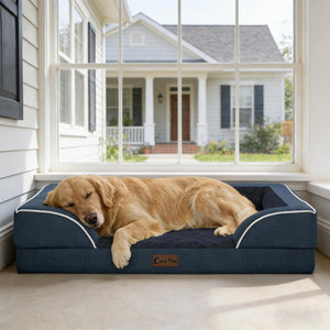 Dog sleeping on a blue pet bed in a sunroom with a view of a house at Pet Servo