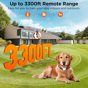 Dog sitting on grass with a house in the background, promoting a remote dog training system with 3300ft range at Pet Servo