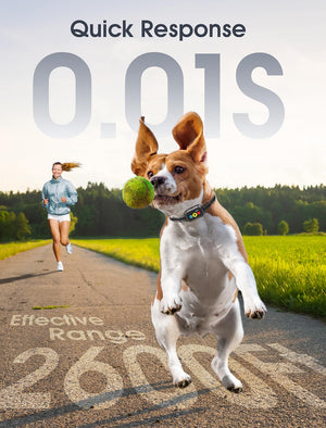 Dog running with a ball on a road, with text about quick response time and effective range.