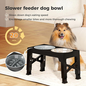 Pawz 2-in-1 Stainless Steel Foldable 4 Height Raised Bowl Stand for Small to Large Dogs at Pet Servo