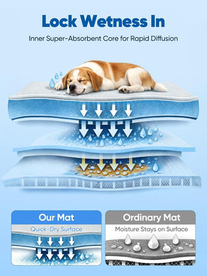 Diagram showing the superior absorbent core of a dog mat with a sleeping dog on top.