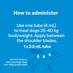 Instructions on administering a medication dose for dogs with a blue background at Pet Servo