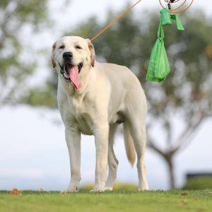 Dog standing on grass with a green toy in the air at Pet Servo