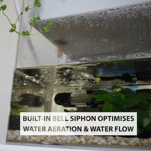 Aquarium with built-in bell siphon for water aeration and flow, featuring text overlay at Pet Servo