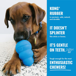 Dog chewing on a blue KONG rubber toy with promotional text about its benefits at Pet Servo