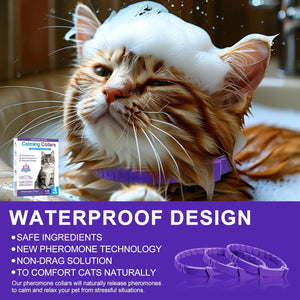 Cat with a purple collar and bath sponge on head, with text about a calming collar's features at Pet Servo