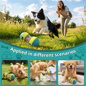 Dog playing with a toy in a grassy field with a woman in the background, surrounded by smaller images of dogs interacting with the toy in various settings at Pet Servo