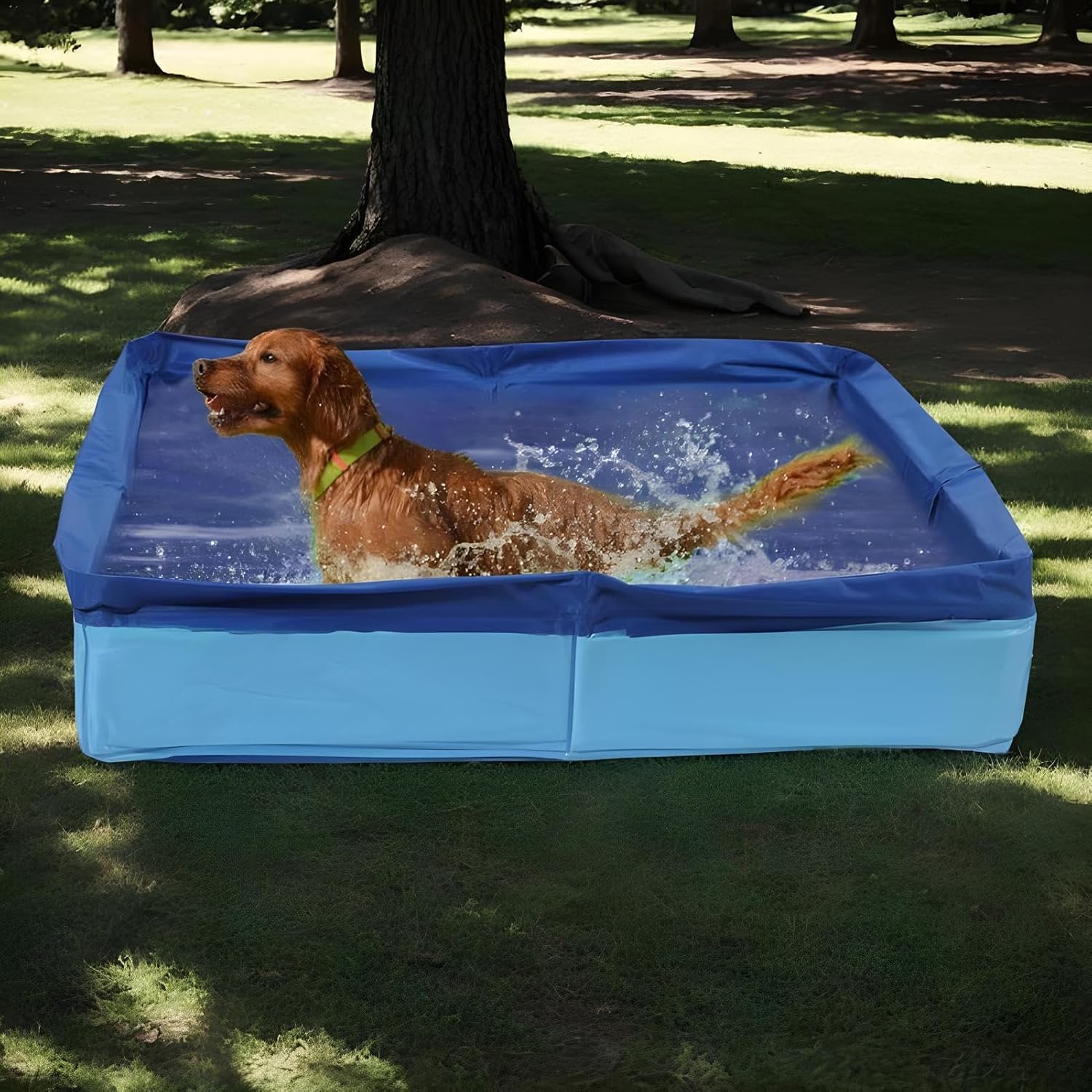 Dog playing in a blue inflatable pool in a park at Pet Servo