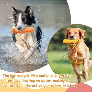 Two dogs playing with toys; one in water, the other on grass at Pet Servo