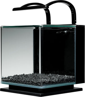 Small aquarium with black gravel and a black light fixture on a white background at Pet Servo