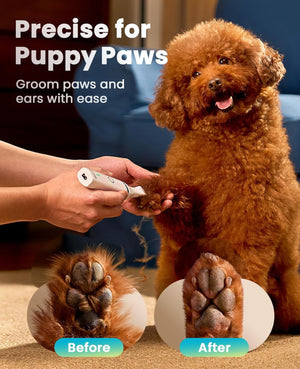 Dog being groomed with a tool, showing 'Before' and 'After' effects on paws at Pet Servo