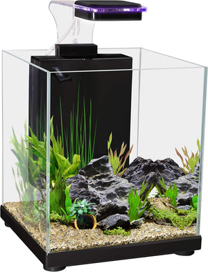 Small aquarium with plants, rocks, and a light on a white background at Pet Servo