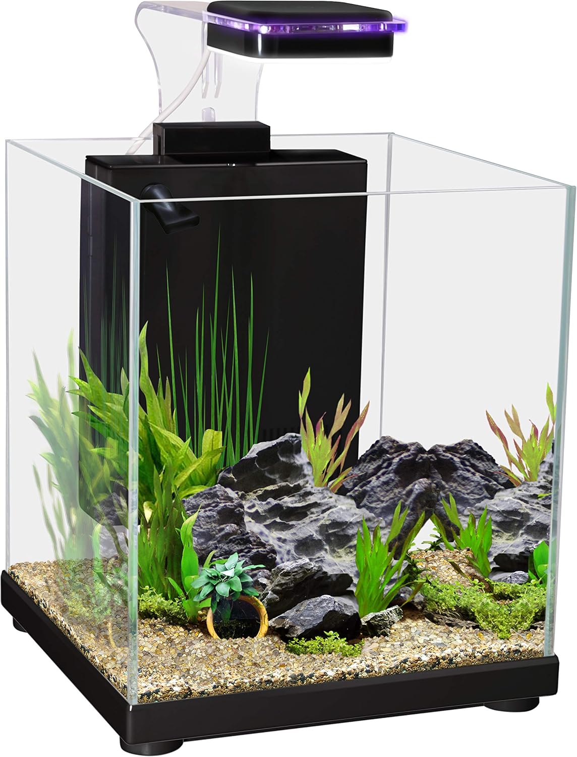 Small aquarium with plants, rocks, and a light on a white background at Pet Servo