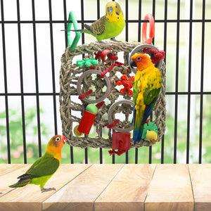 Colorful parakeets interacting with a bird play gym in a cage at Pet Servo