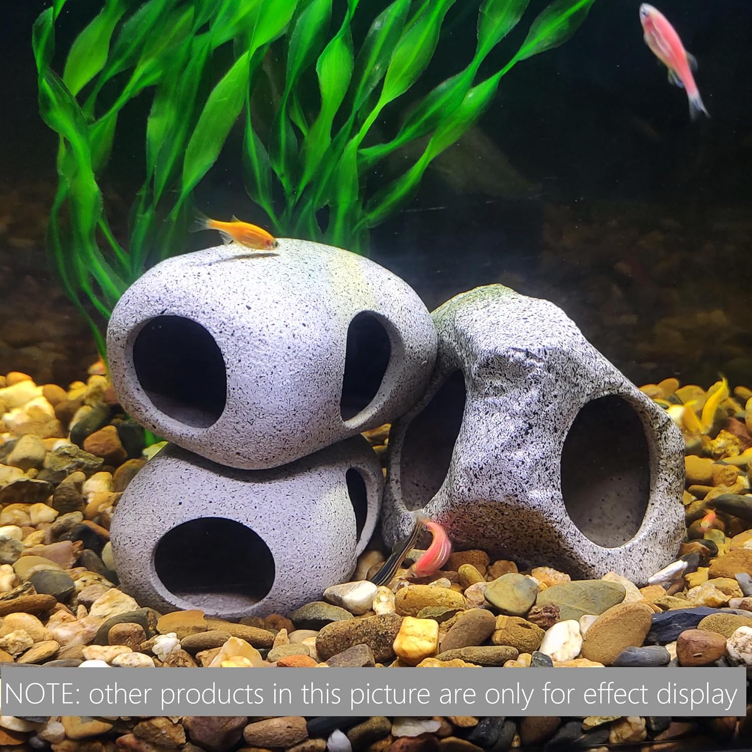 Decorative stone with holes in an aquarium setting with fish and green plants at Pet Servo