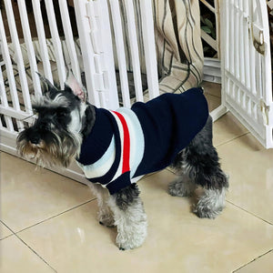 GHAOSG - Blue Stripe Puppy & Kitten Knit Sweater - Petservo