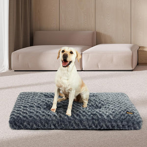Pawz Soft Swirl Pattern Dog Bed Mat Plush Velvet with Machine Washable at Pet Servo