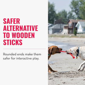 Two dogs playing with a red toy on a beach, with text about a safer alternative to wooden sticks at Pet Servo