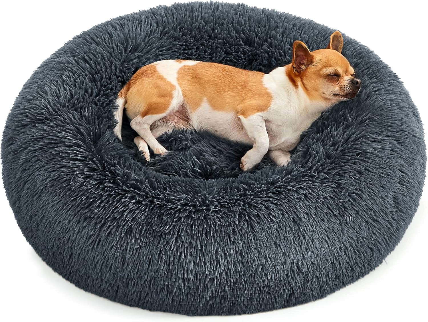 Dog lying on a fluffy gray donut bed at Pet Servo