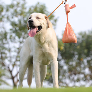 Dog on a leash with a pink doggy bag attached, standing outdoors with trees in the background at Pet Servo