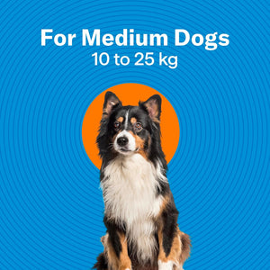 Dog with text indicating weight range on a blue background at Pet Servo