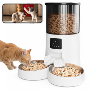 Pet feeder with two bowls of food, a cat eating from one bowl, and a smartphone showing two cats in the background at Pet Servo