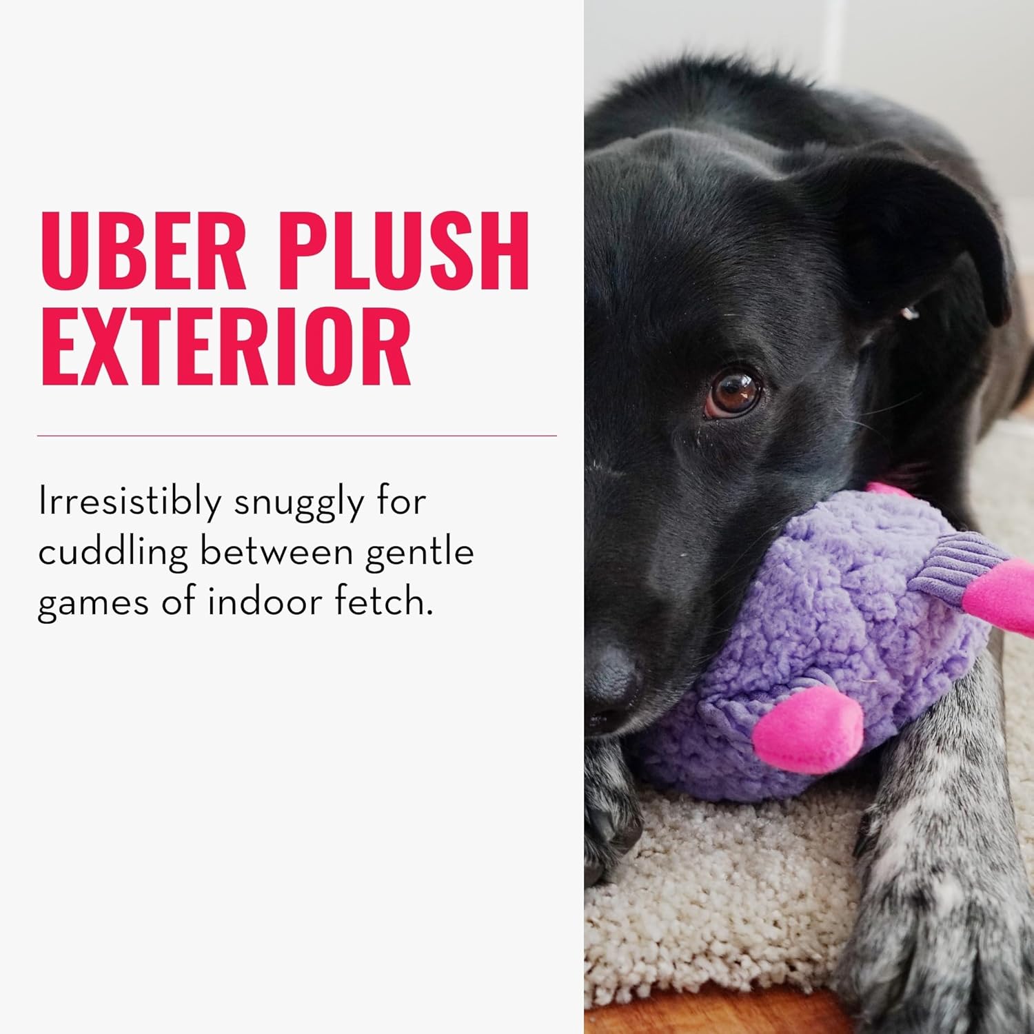 Dog playing with a plush toy, text about plush exterior at Pet Servo