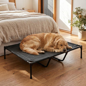 Dog lying on a elevated pet bed in a bedroom at Pet Servo