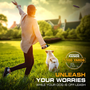Person playing with a dog in a park with text about a product range at Pet Servo