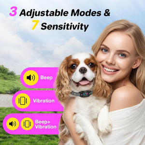 Woman holding a dog with product features displayed on a scenic background at Pet Servo