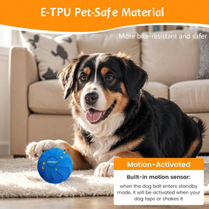 Dog playing with a blue ball in a living room, featuring E-TPU pet-safe material and motion-activated feature at Pet Servo