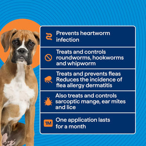 Dog with a blue background and text about pet medication benefits at Pet Servo
