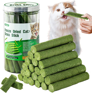 Green freeze-dried cat grass sticks with a jar and a cat eating one at Pet Servo